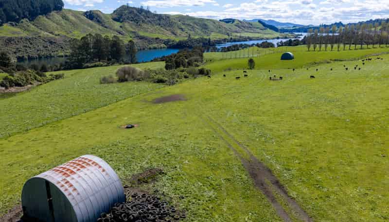 656 Waotu Road South, Putaruru
