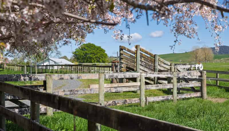 243C Matai Road, Matamata