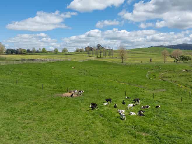 243C Matai Road, Matamata