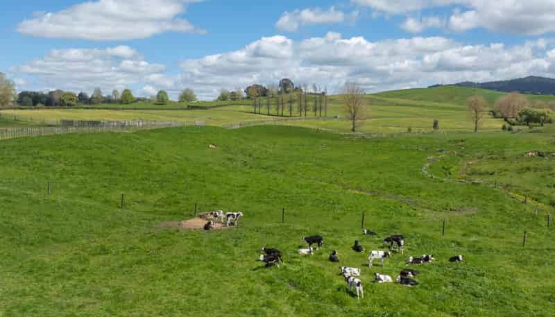 243C Matai Road, Matamata