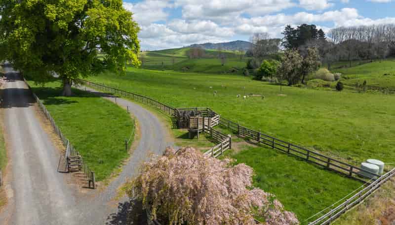 243C Matai Road, Matamata