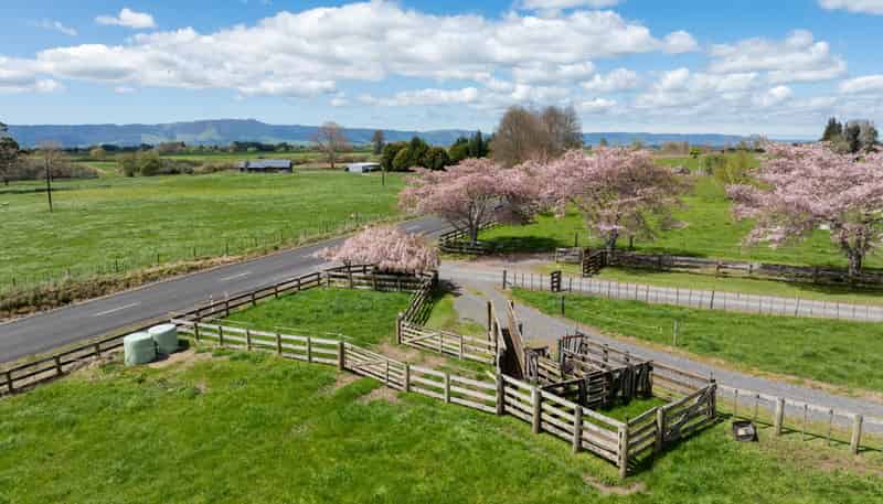 243C Matai Road, Matamata