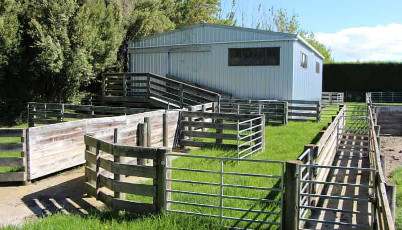 15 Pleasant Point Cave Highway, Pleasant Point