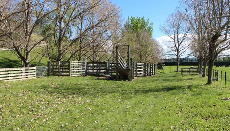 15 Pleasant Point Cave Highway, Pleasant Point