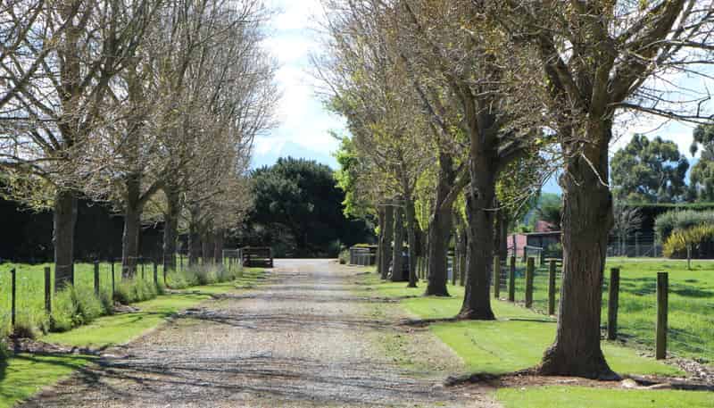 15 Pleasant Point Cave Highway, Pleasant Point