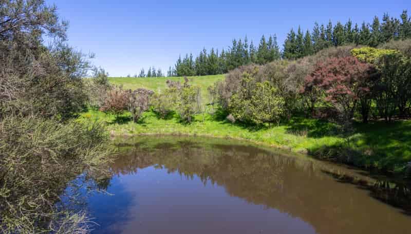 22 Halcombe Road, Feilding