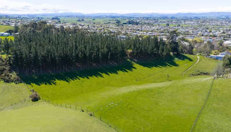 22 Halcombe Road, Feilding