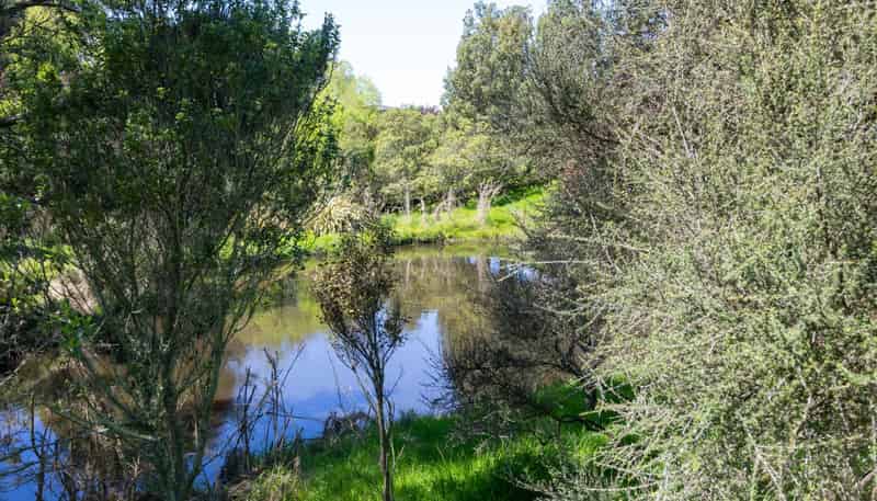22 Halcombe Road, Feilding