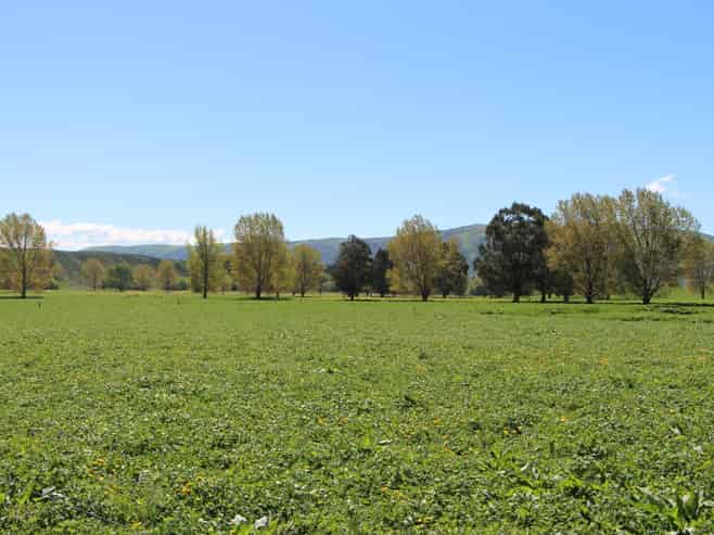 127 Motukaika Road, Maungati