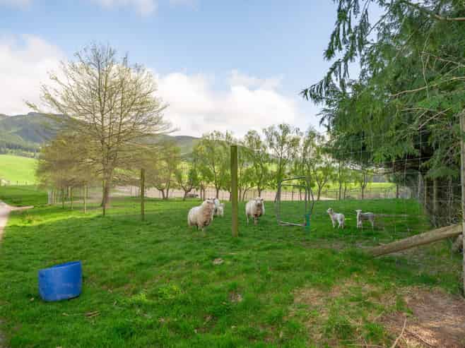 146 Woodside Road, Pleasant Valley