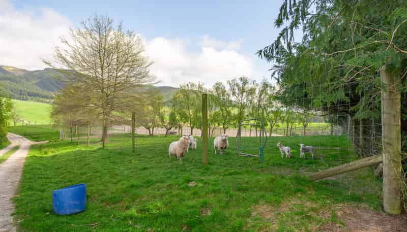 146 Woodside Road, Pleasant Valley