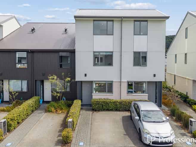 13 Te Ara O Te Amo Hohipene, Petone