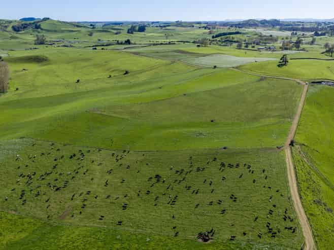 1356 Otorohanga Road, State Highway 3, Otorohanga
