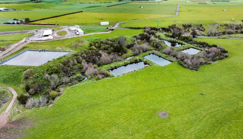 0n Ngarongo Road, Normanby