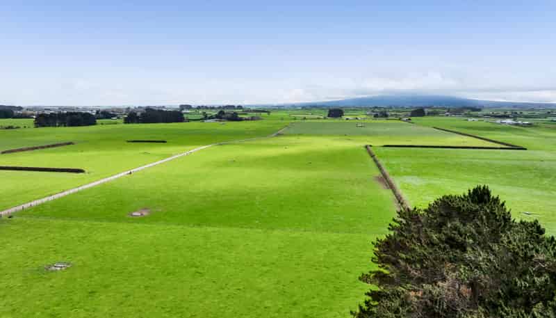 0n Ngarongo Road, Normanby