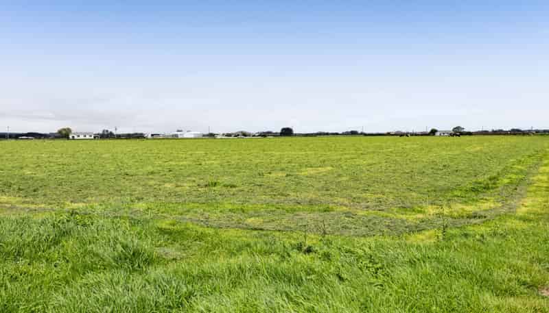 0n Ngarongo Road, Normanby