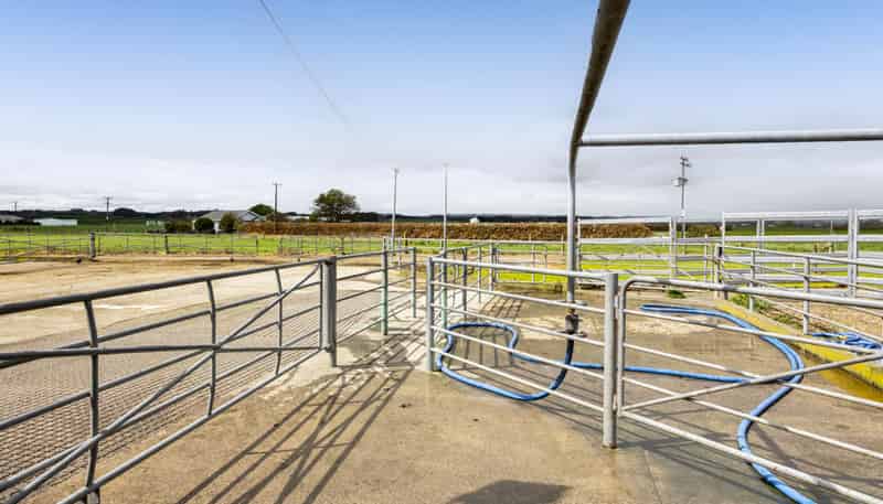 0n Ngarongo Road, Normanby