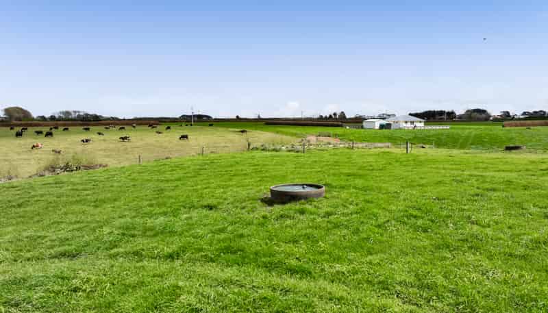 0n Ngarongo Road, Normanby