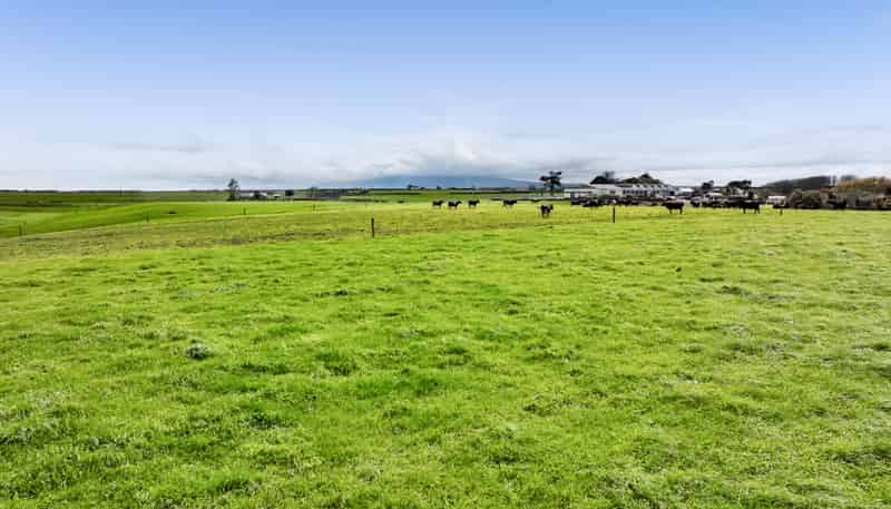 0n Ngarongo Road, Normanby
