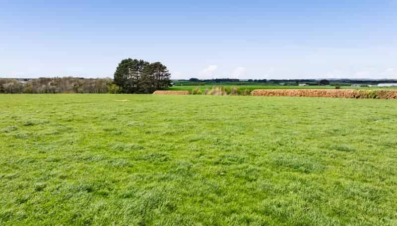 0n Ngarongo Road, Normanby