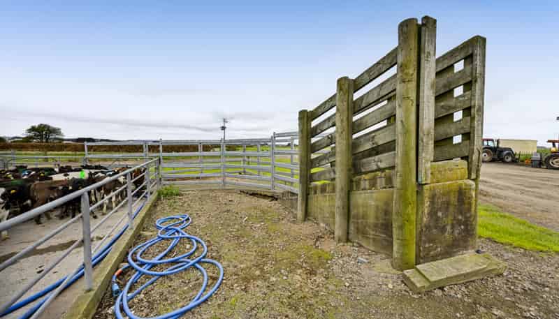 0n Ngarongo Road, Normanby