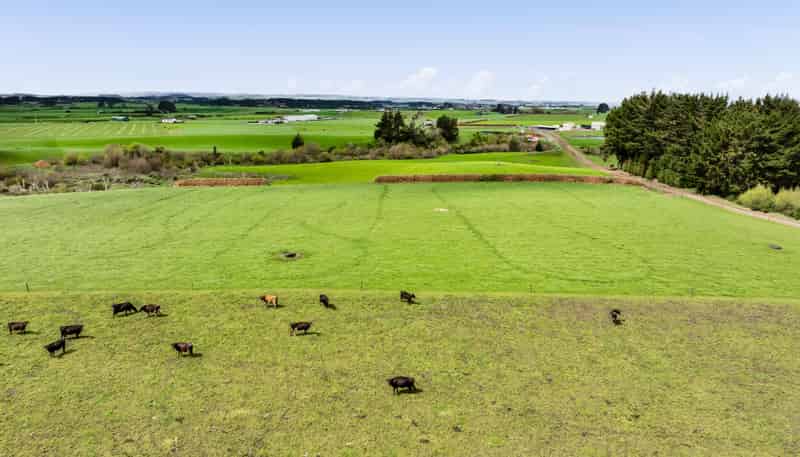 0n Ngarongo Road, Normanby