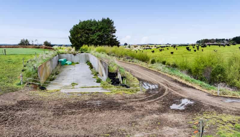 0n Ngarongo Road, Normanby