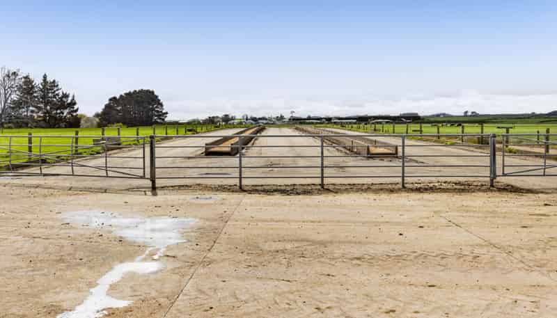 0n Ngarongo Road, Normanby