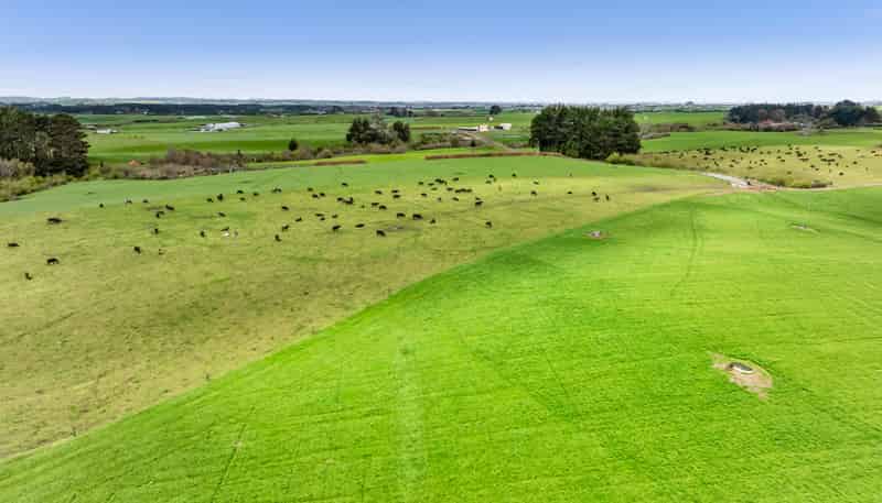0n Ngarongo Road, Normanby