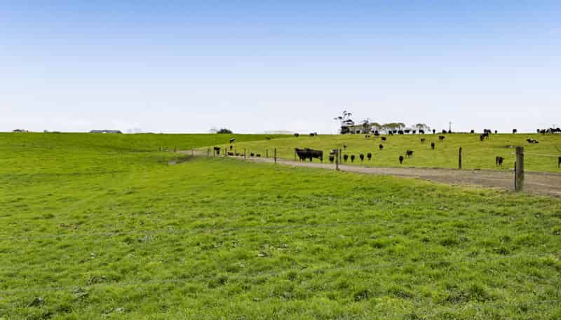 0n Ngarongo Road, Normanby