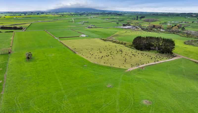 0n Ngarongo Road, Normanby