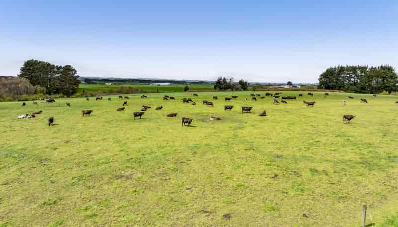 0n Ngarongo Road, Normanby