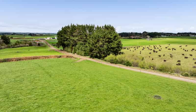 0n Ngarongo Road, Normanby