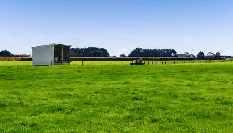0n Ngarongo Road, Normanby