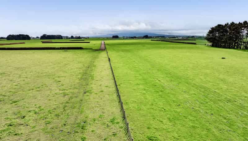 0n Ngarongo Road, Normanby