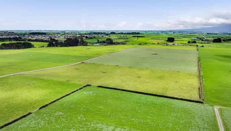 0n Ngarongo Road, Normanby