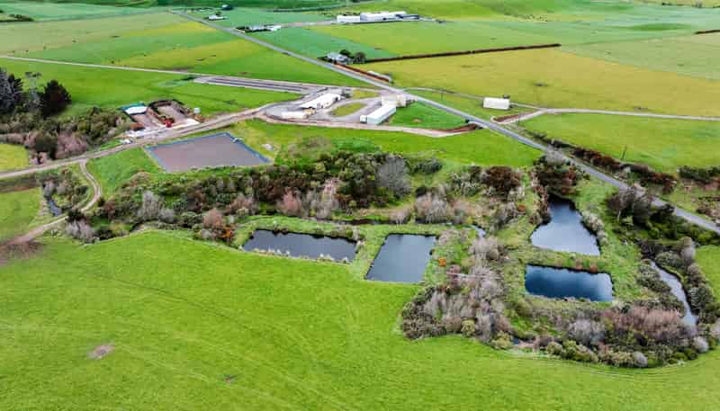 0n Ngarongo Road, Normanby