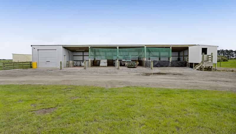 0n Ngarongo Road, Normanby