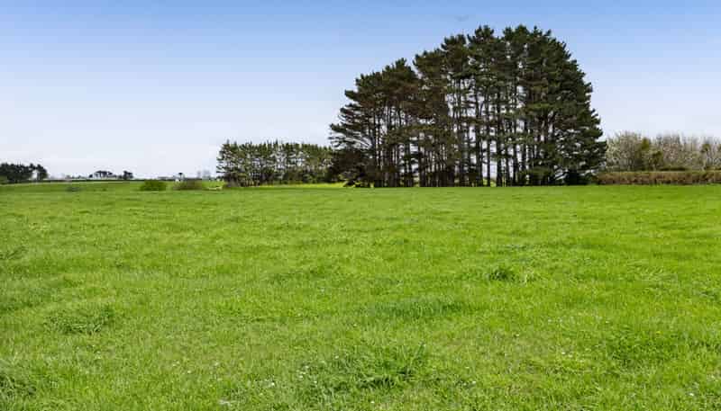 0n Ngarongo Road, Normanby