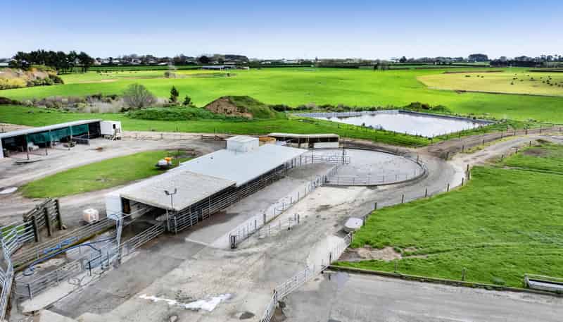 0n Ngarongo Road, Normanby