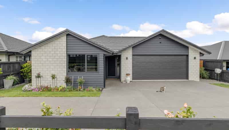 29 Rawiri Street, Morrinsville