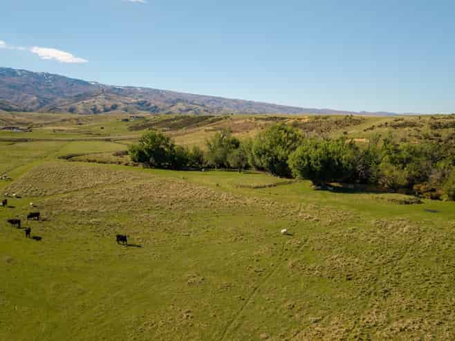 421 Nelsen Ridge Road, Alexandra