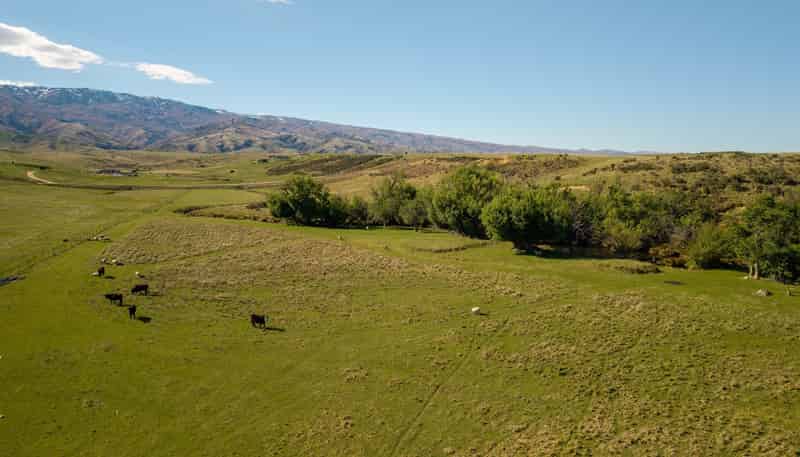421 Nelsen Ridge Road, Alexandra