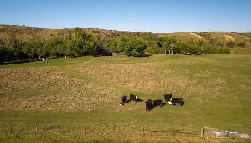 421 Nelsen Ridge Road, Alexandra