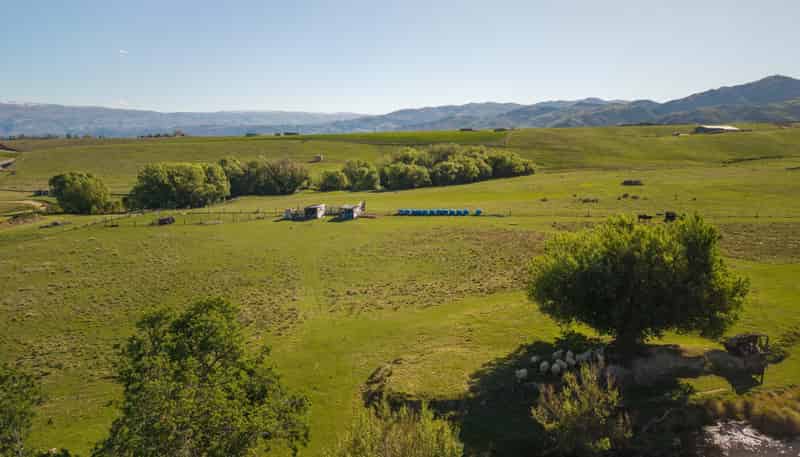 421 Nelsen Ridge Road, Alexandra