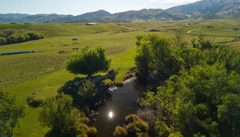 421 Nelsen Ridge Road, Alexandra