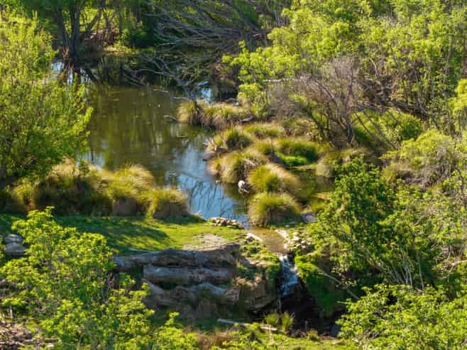 421 Nelsen Ridge Road, Alexandra