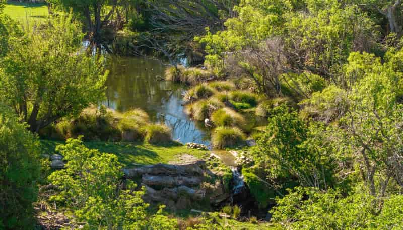 421 Nelsen Ridge Road, Alexandra