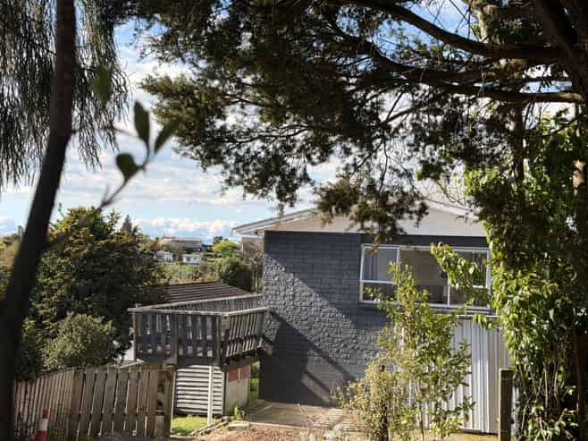 17 Anderson Street, Putaruru