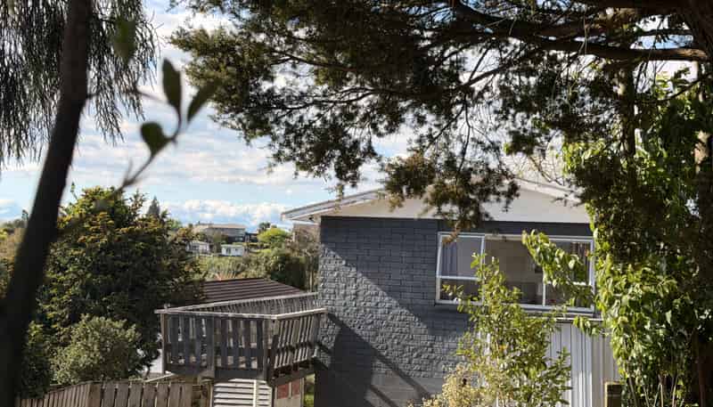 17 Anderson Street, Putaruru